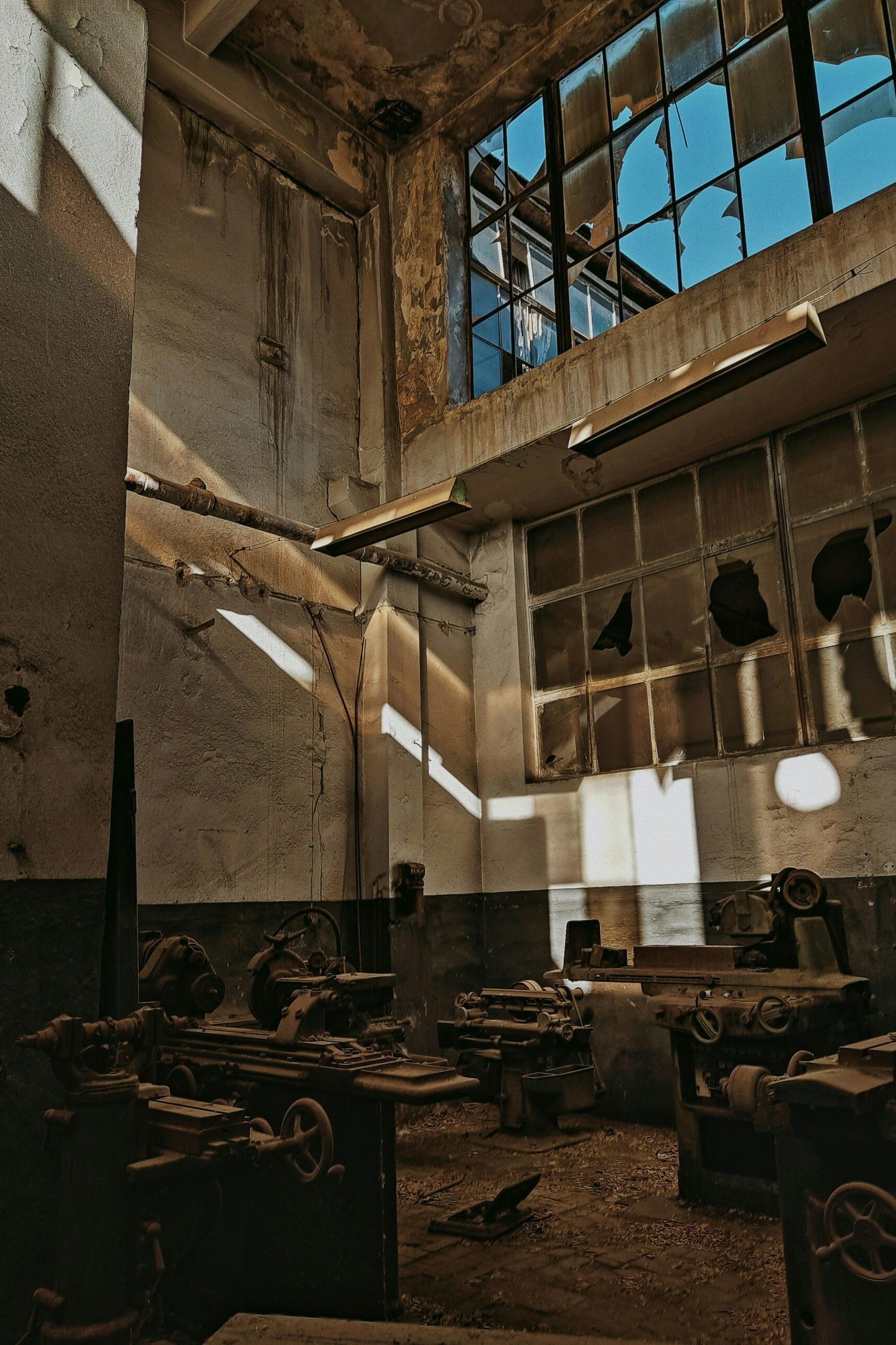 hale-tat-fMKODF5JdKU-unsplash